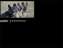 Tablet Screenshot of belgianmalinois.de